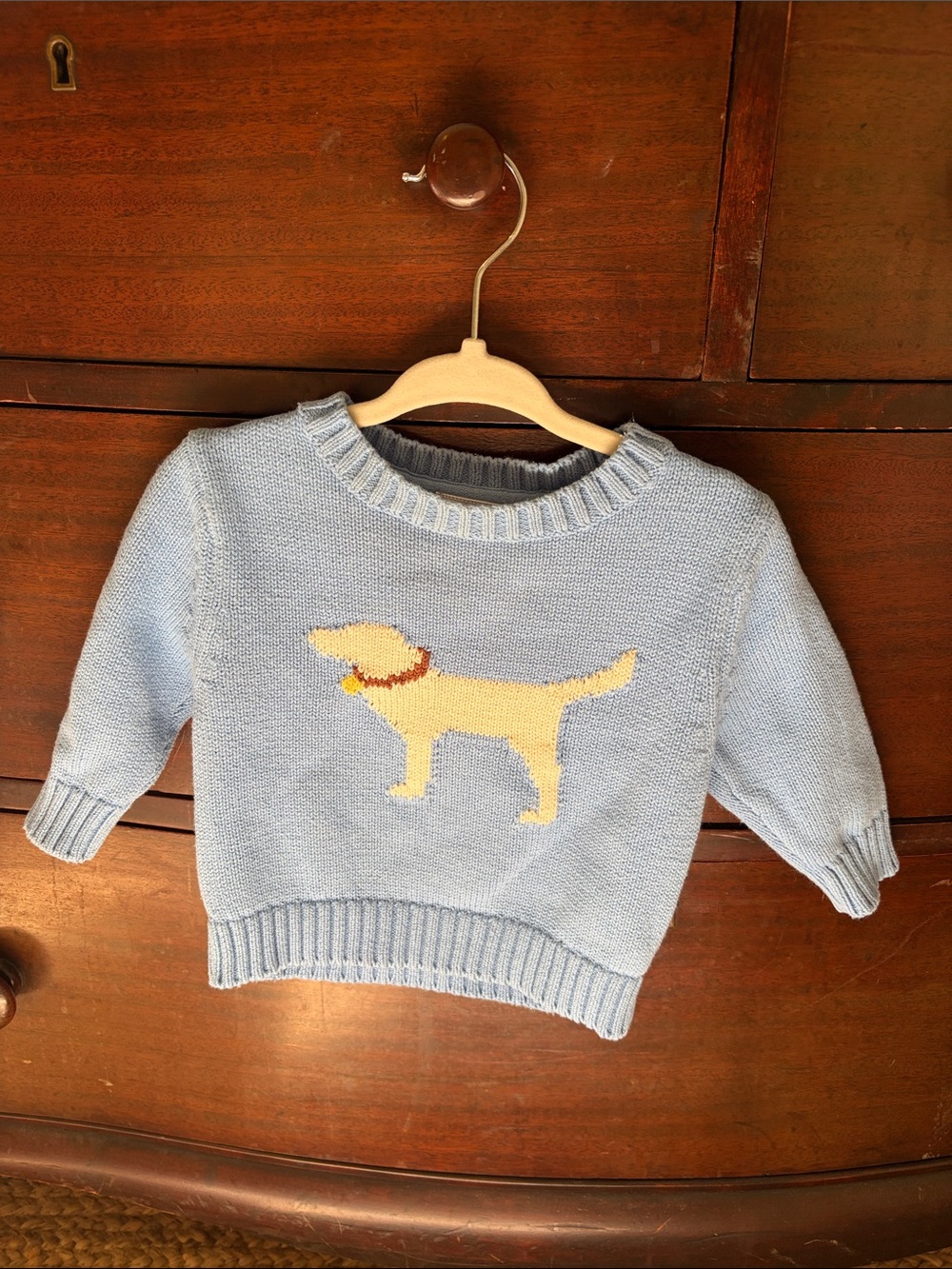 Little English boys lab dog intarsia knit sweater, 9-12M